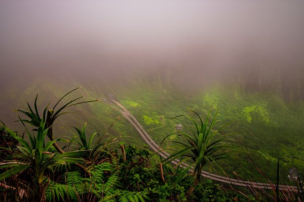 Comment organiser une compétition de haïkus en plein air, inspirée par les paysages naturels de votre région?